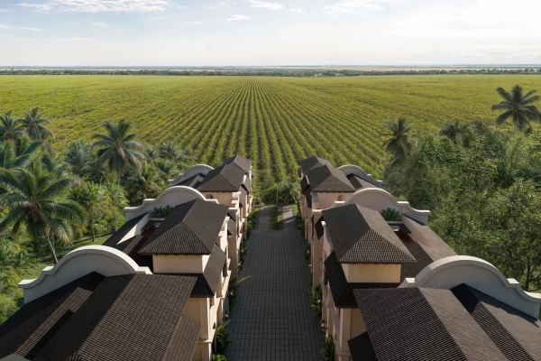 1_14 - Photo copy 1_14 - Photo copy