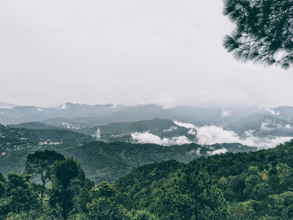 The Kasauli Hills – Source: Zonayed Ahmed, Unsplash