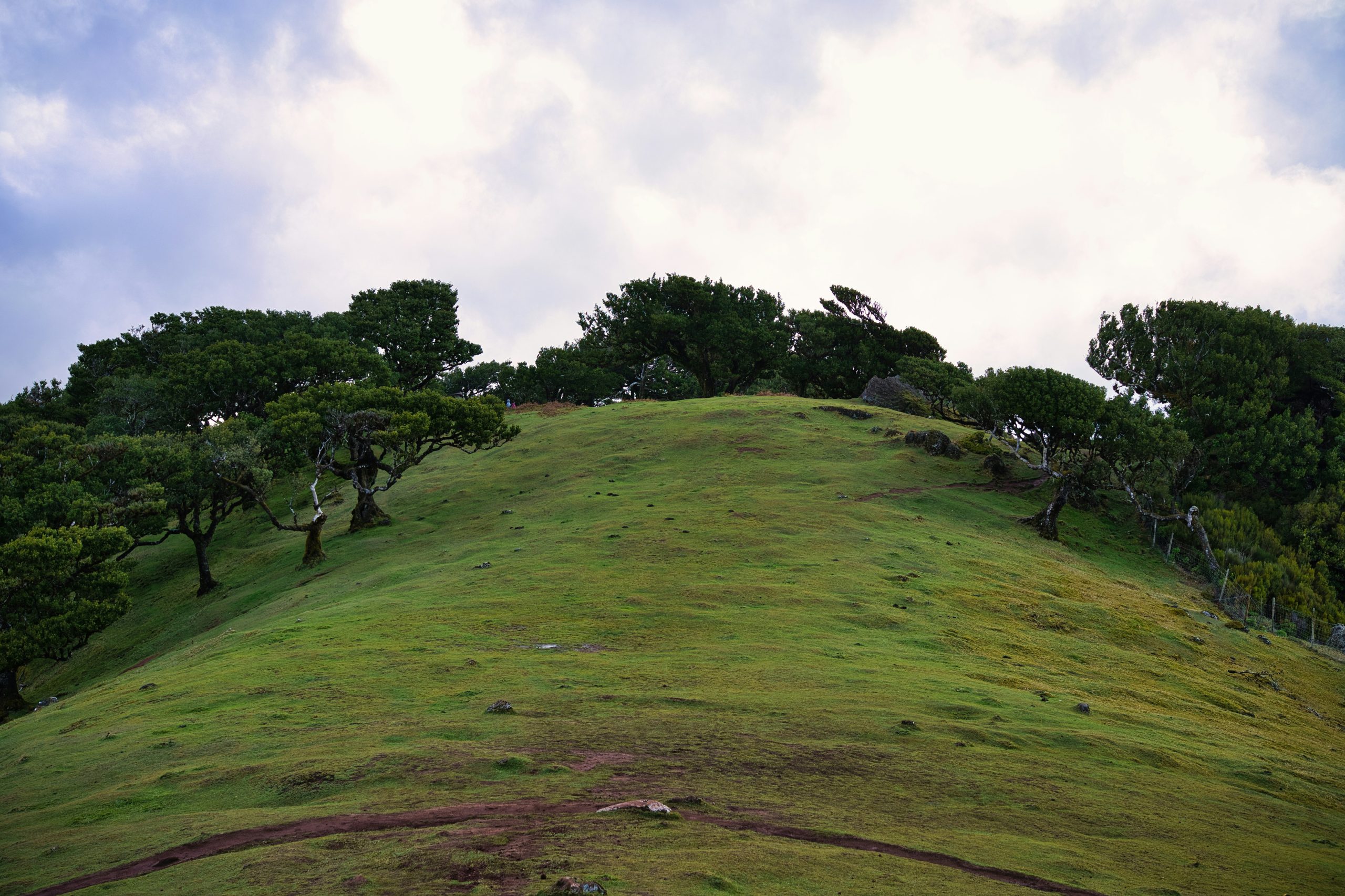 Investing in Indian Real Estate: Trends, Opportunities, and Challenges