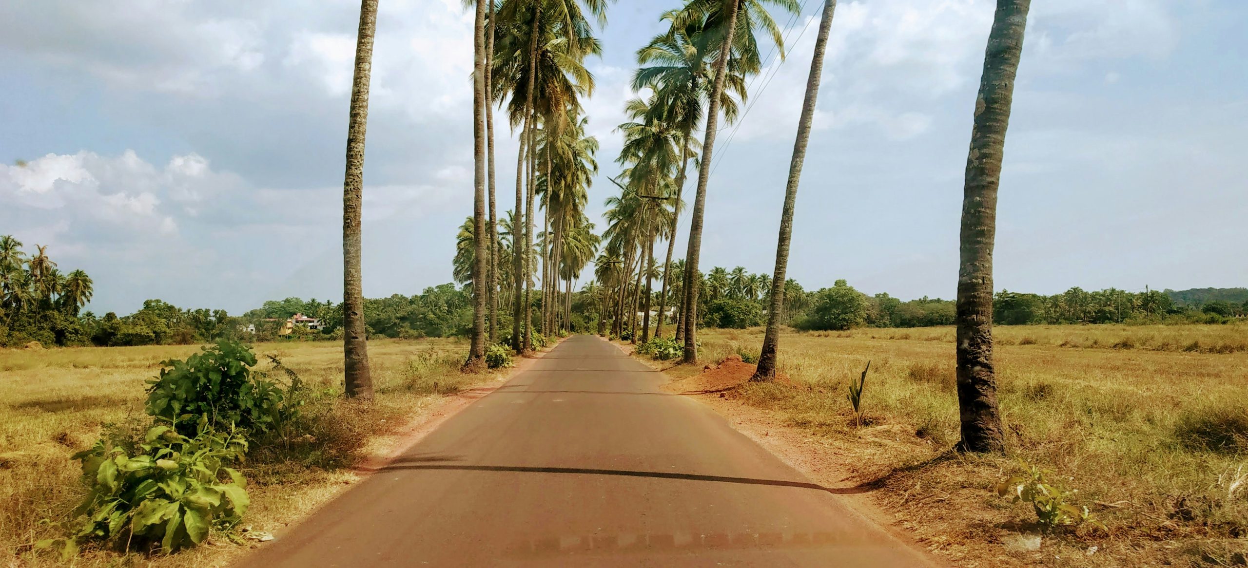 The Vibrant Culture of Goa and its Fusion of East and West