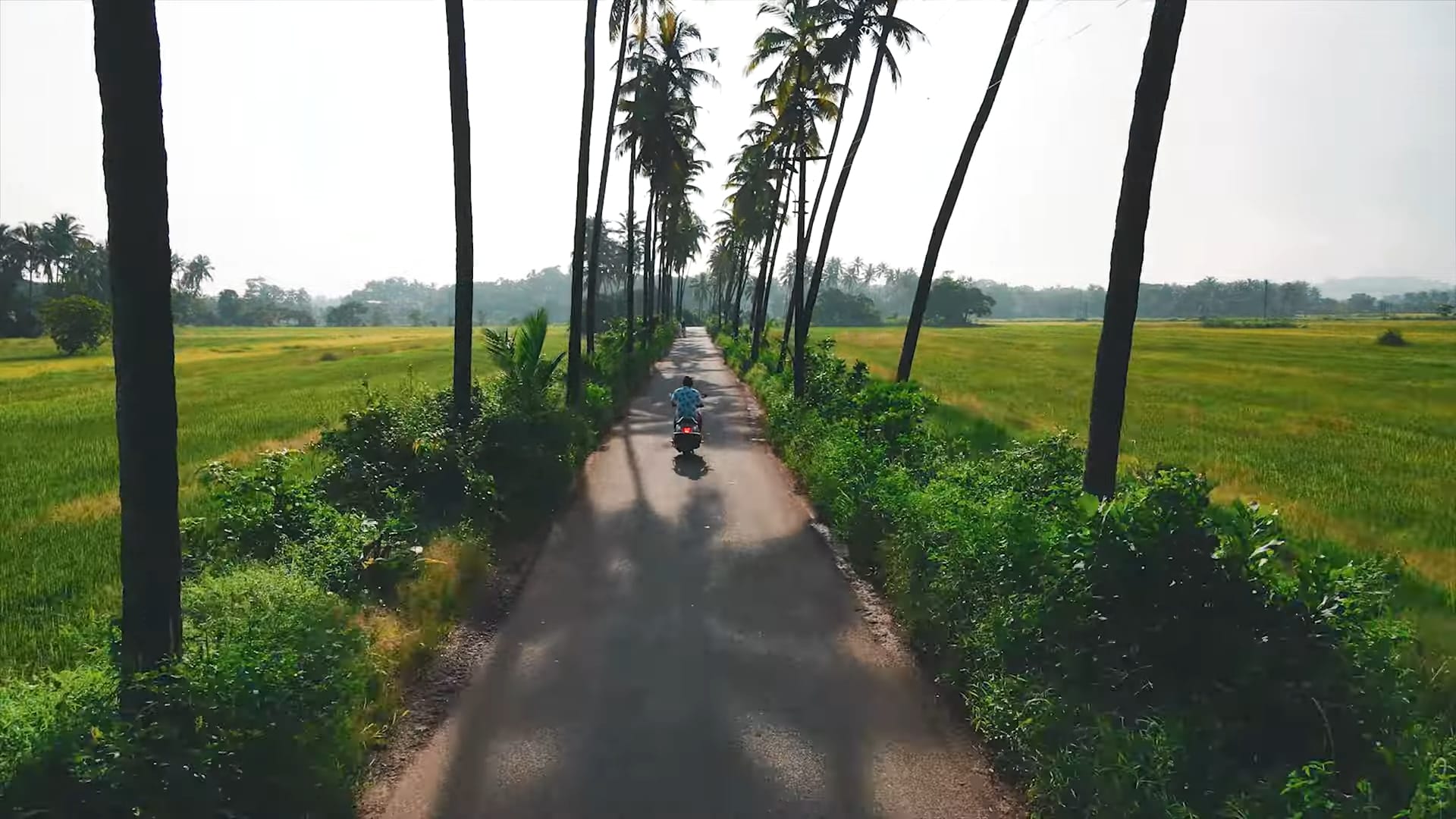 Parvari Goa The Parra Pulse: A Resident’s Guide to Goa’s Most Iconic Village - Azul ...