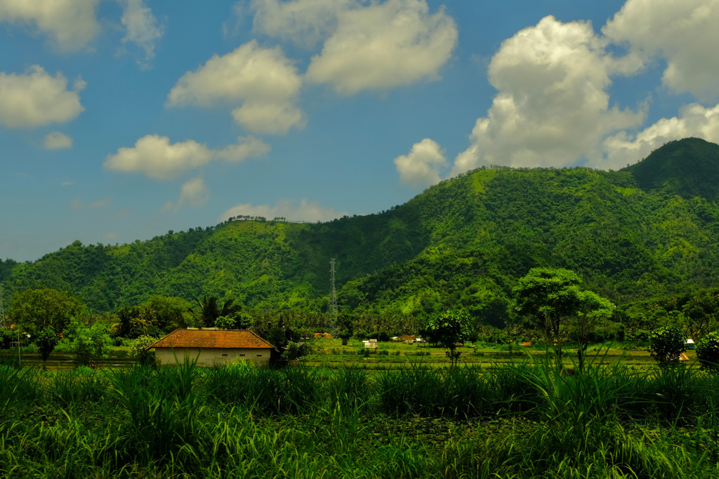 Lush landscapes of Goa's peaceful villages