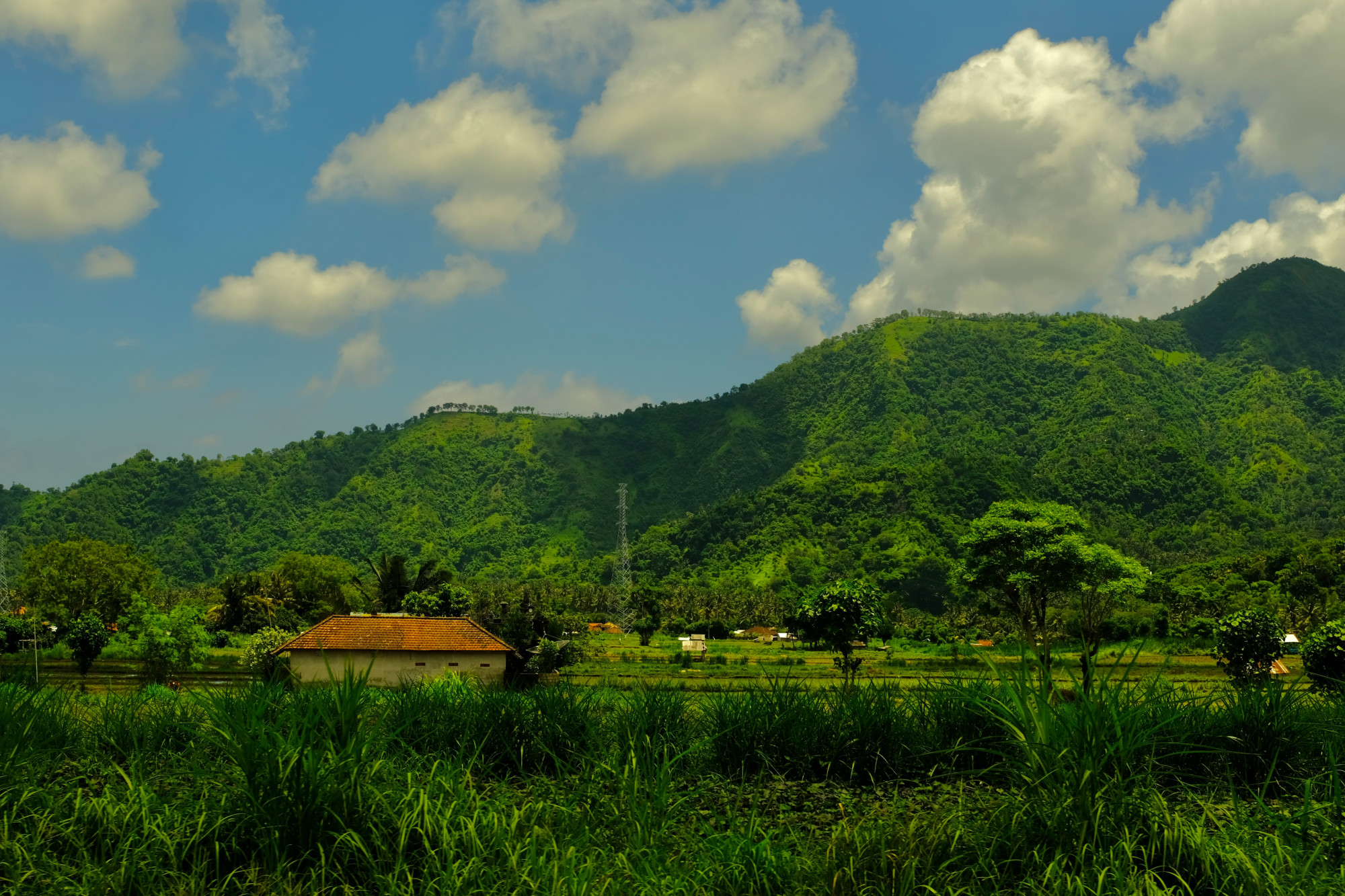 Detailed Guide to Real Estate Investment in North Goa